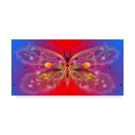 RUNA 'Butterfly 11' Canvas Art,24x47